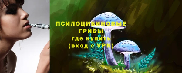 герыч Вяземский