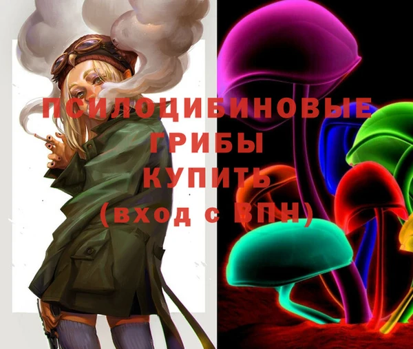 герыч Вяземский