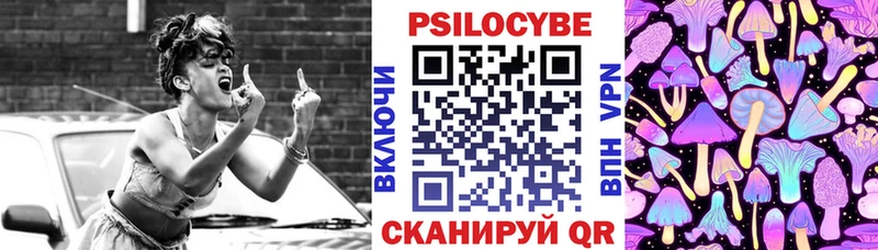 omg tor  Балашиха  это Telegram  Псилоцибиновые грибы Magic Shrooms 