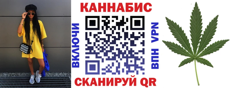 где можно купить   shop формула  Бошки Шишки Amnesia  Балашиха 